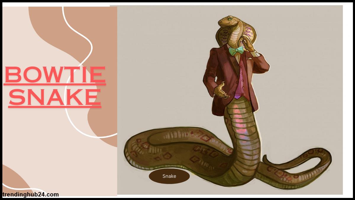 Full Detailed knowledge Of  Bowtie Snake.jpg